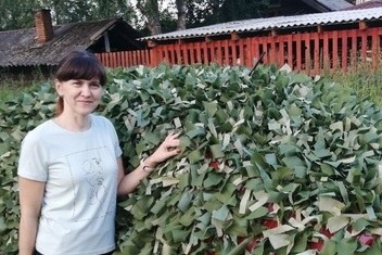 https://vologdazso.ru/upload/medialibrary/748/7487658df3b88ba71711d63f67c8df2e.jpg