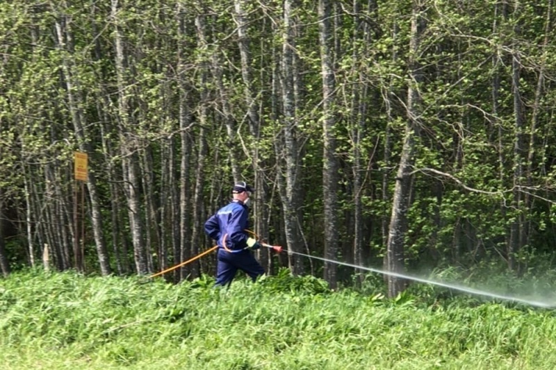 p06.jpg https://vologdazso.ru/upload/medialibrary/90c/90cbab727802a67333ad28ff4fc9fe27.jpg