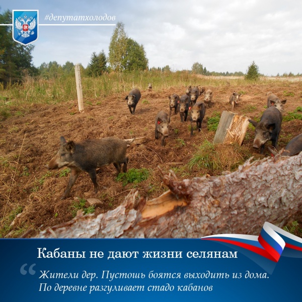 https://vologdazso.ru/upload/medialibrary/958/958a9f9ab2fd6c04a4025531d1c8009f.jpg