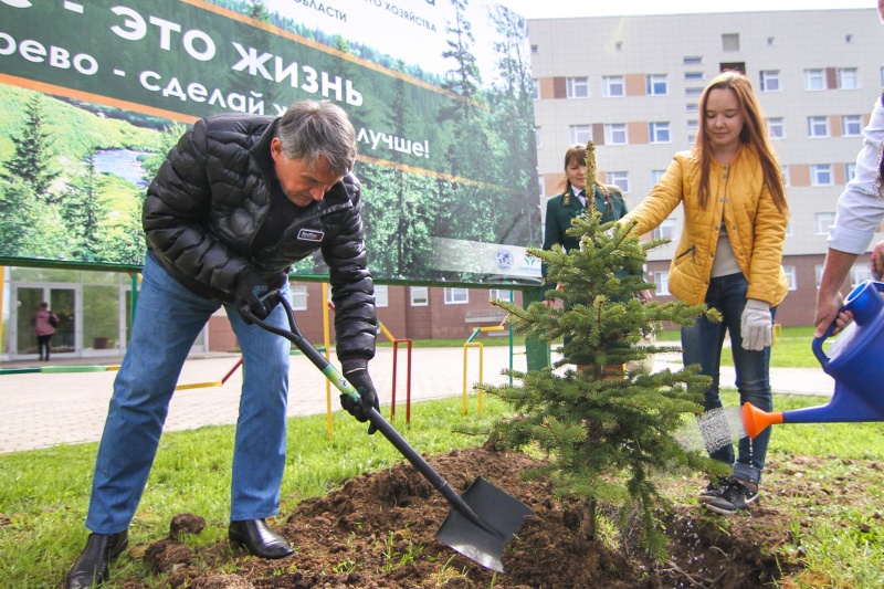 Школа кустарников. Посадка деревьев. Воробьев сажает дерево.