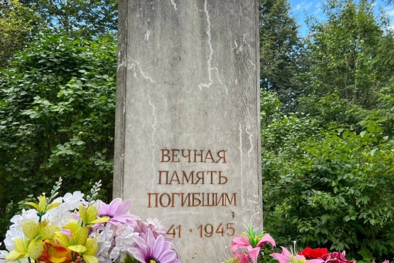 https://vologdazso.ru/upload/medialibrary/dd0/bj1gg3l28uzd797mtgh4r5goieth27or.jpg
